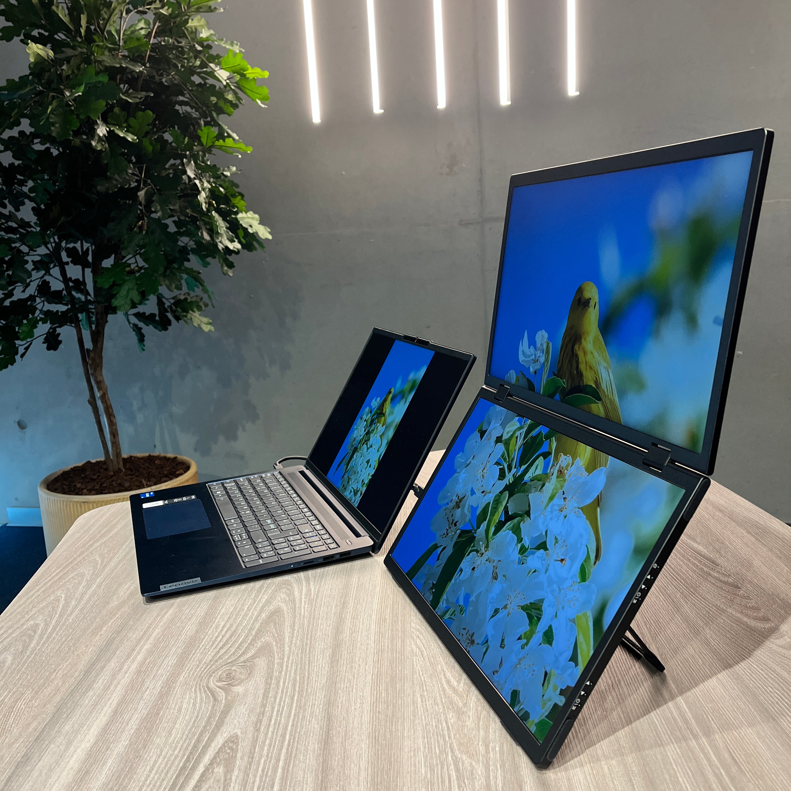 eliteRISE | Wired Dual-Screen Portable Monitor – nordicsight